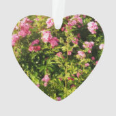 Rosarium en fleurs (dos)