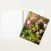 Rosarium en fleurs (Devant avec enveloppe)