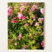 Rosarium en fleurs (Dos)