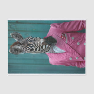 Roscoe de Zebra Tissuepapier