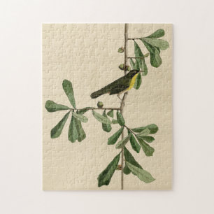Roscoe's gele keel, Amerikaanse vogels Legpuzzel