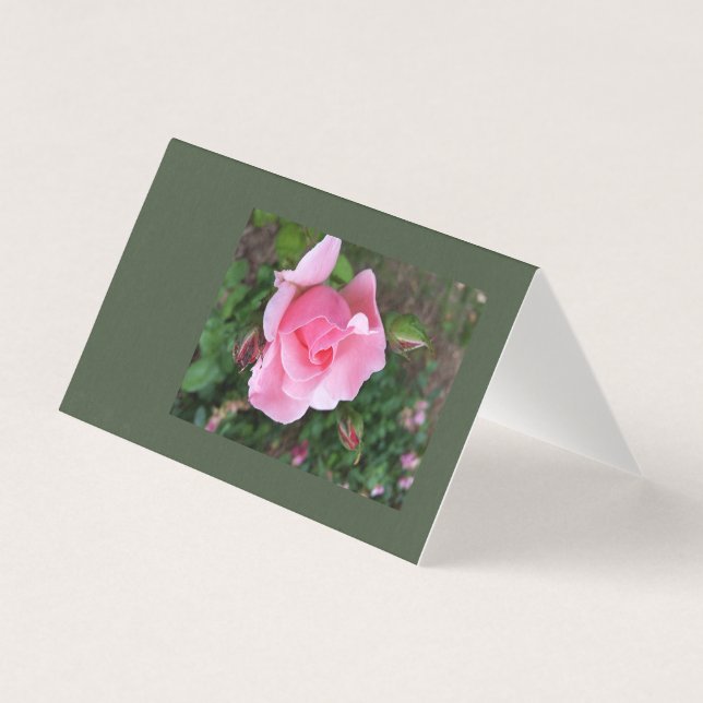 rose (Front)