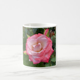 Rose #3 Mug