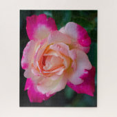 Rose à thé hybride Circus Knie Jigsaw Puzzle (Vertical)