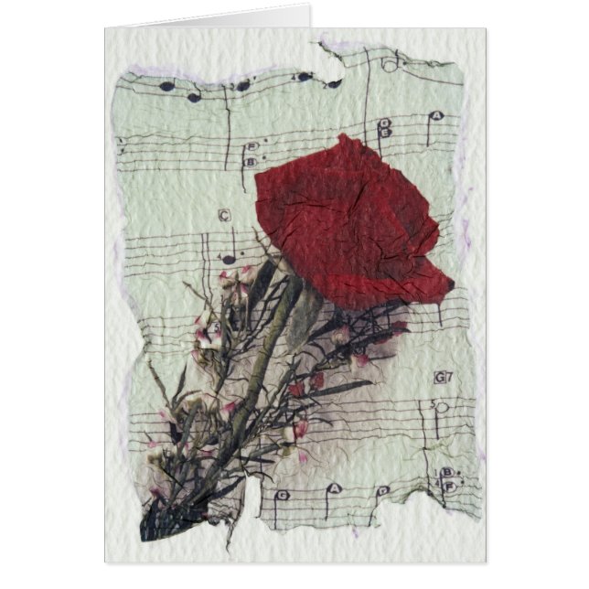 <Rose and Music> par Kim Koza 2 (Devant)