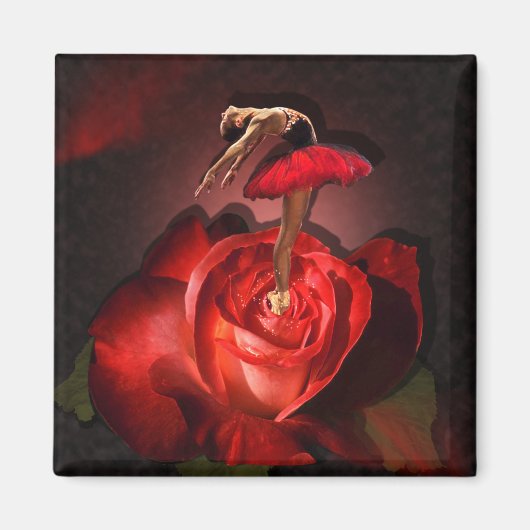 Rose Ballerina - Aimant (Devant)