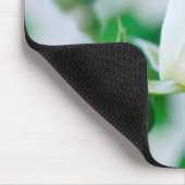 Rose blanc de tapis de souris horizontal et (Coin)
