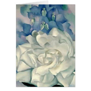 Rose blanc et pied-d'alouette de stupéfaction la