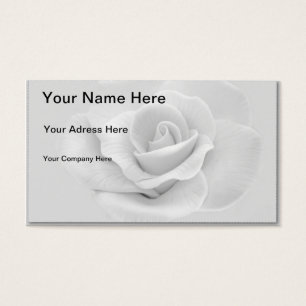 Rose blanche