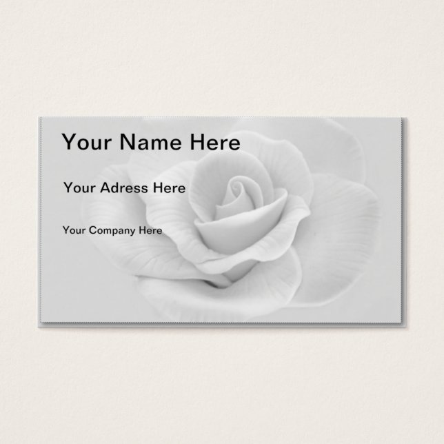 Rose blanche (Devant)