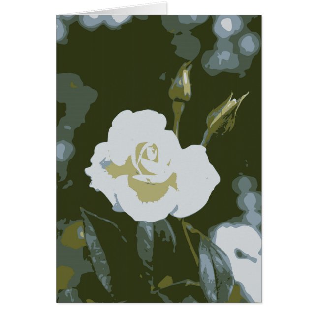 Rose Blanche (Devant)