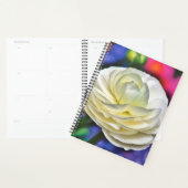 Rose blanche (Devant avec enveloppe)