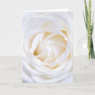 "ROSE BLANCHE" CARTE FLORALE