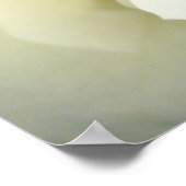 Rose blanche crème - Poster (Coin)