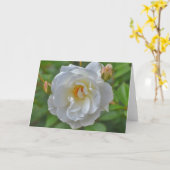 Rose blanche dans une carte de note d'art dans un  (Fleur jaune)