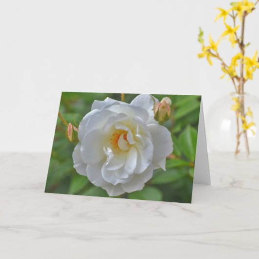 Rose blanche dans une carte de note d'art dans un  (Fleur jaune)