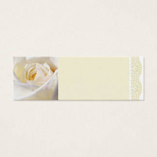 Rose blanche et dentelle