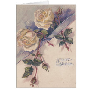 Rose blanche Fleurs Roses