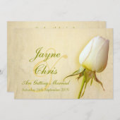 Rose blanche mariage grande invitation paysage (Devant / Derrière)