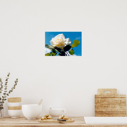 Rose blanche sous affiche bleu ciel (Cuisine)