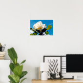Rose blanche sous affiche bleu ciel (Bureau à domicile)