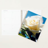 Rose blanche sous ciel bleu (Devant avec enveloppe)