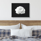 Rose blanche sur toile Arrière - plan noire (Insitu(Chambre))