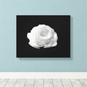 Rose blanche sur toile Arrière - plan noire (Insitu (Plancher de Bois))