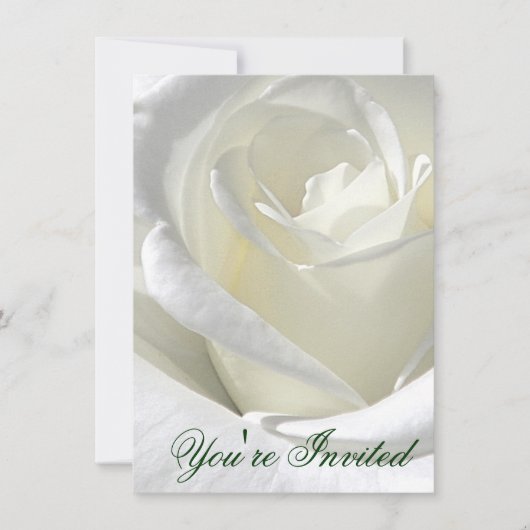 Rose Blanche, Vous êtes invités_ Invitation (Devant)