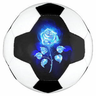 Rose bleu brûlant