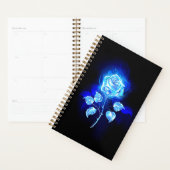 Rose bleu brûlant (Devant avec enveloppe)
