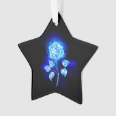 Rose bleu brûlant (devant)