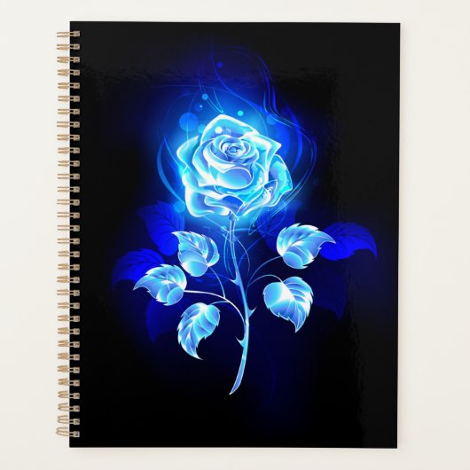 Rose bleu brûlant (Devant)