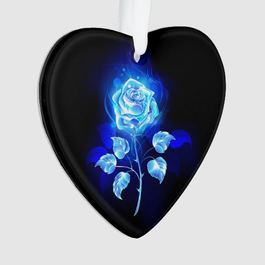 Rose bleu brûlant (devant)