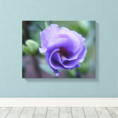 Rose bleu de Sharon 14 x 11 toile Imprimer (Insitu (Plancher de Bois))