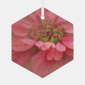 Rose Blush Poinsettias Art numérique Ornement en v (Verso)