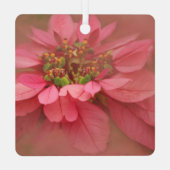 Rose Blush Poinsettias Art numérique Ornement méta (Verso)