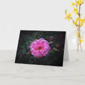 Rose, carte (Fleur jaune)