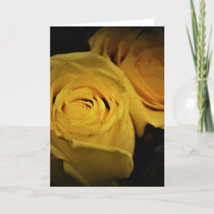 Rose, carte