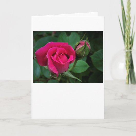 Rose, carte (Devant)