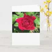 Rose, carte (Fleur jaune)