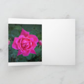 Rose, carte (Intérieur)