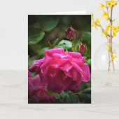 Rose, carte (Fleur jaune)