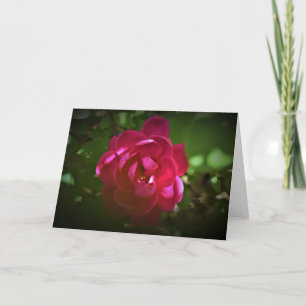 Rose, carte