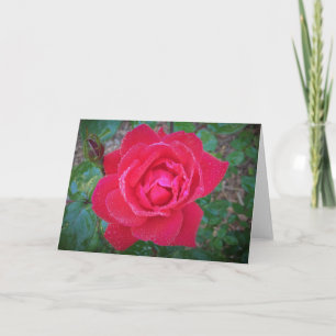 Rose, carte