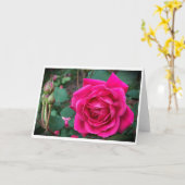 Rose, carte (Fleur jaune)