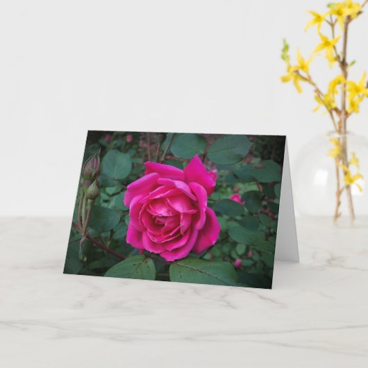 Rose, carte (Fleur jaune)