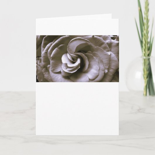 Rose, carte (Devant)