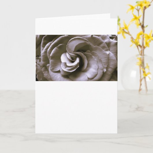 Rose, carte (Fleur jaune)