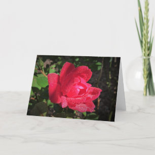 Rose, carte